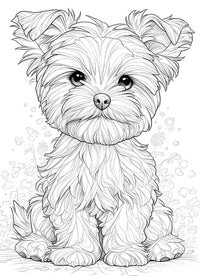 Adorable coloring page of a fluffy Yorkie puppy, perfect for kids' creativity and fun activities!