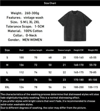 Albedo T-Shirt Overlord Vintage Washed Harajuku Oversized Tee