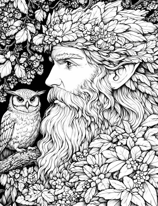 Woodland Elf & Wise Owl - Adult Coloring Page | Infinite Visibility